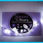 Spoon And The Stars *