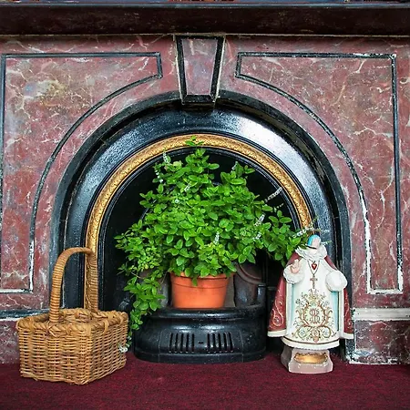 Spoon And The Stars Drogheda