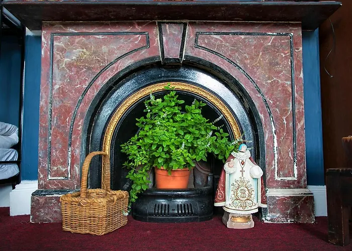 Spoon And The Stars 드로이다