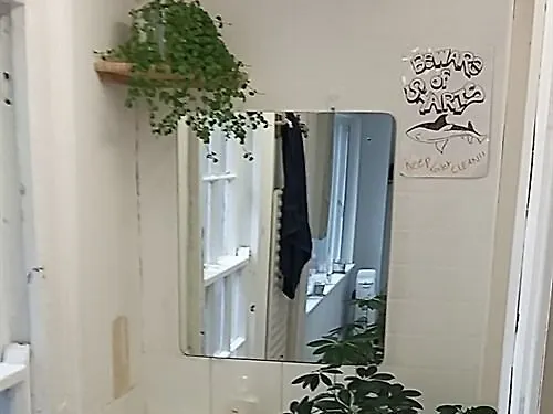 Spoon And The Stars * 德罗赫达