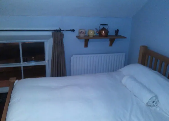 Hostel Spoon And The Stars Hostel *